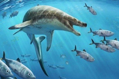 Descubren fósil de largarto marino con dientes de daga