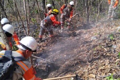 Más de 2 mil hectáreas afectadas por incendios en Chiapas