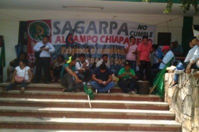 Se termina el año y todavía no entregan apoyos para el campo en Chiapas