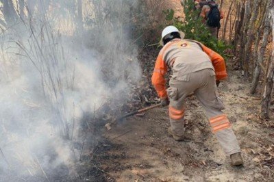 Chiapas entre los estados con más incendios forestales